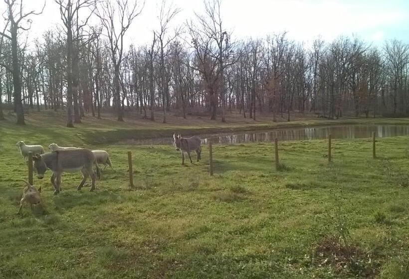 פנסיון Auberge Le Gabachou