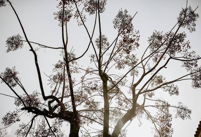 بنسيون Laguna Formosa