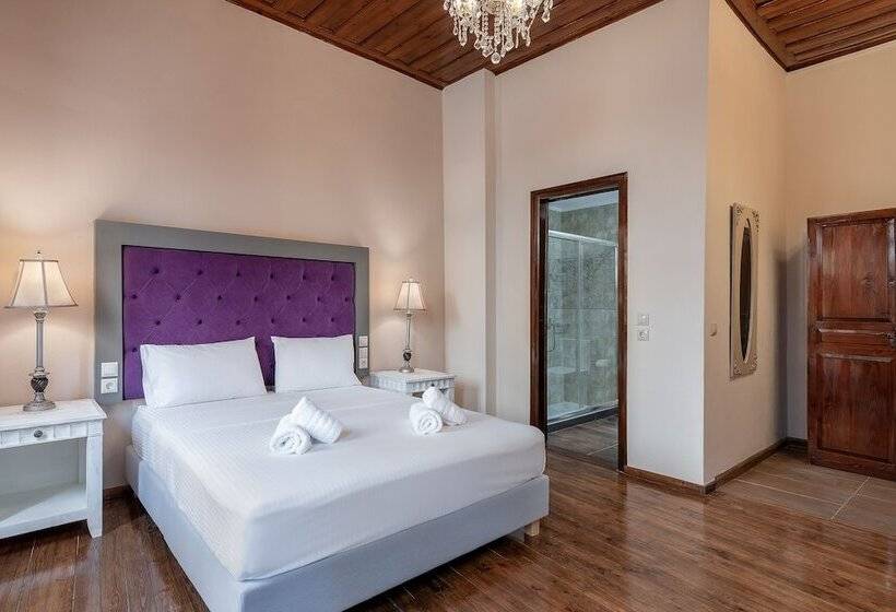 פנסיון Old Town Suites