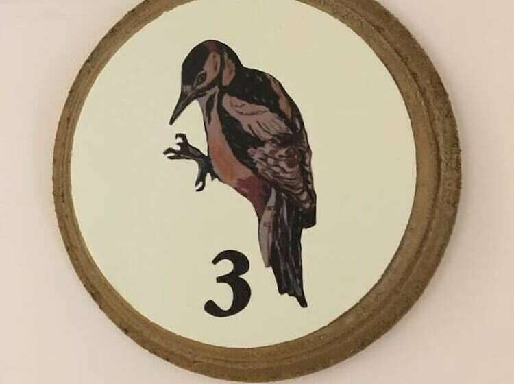 צימר Bron Hafren