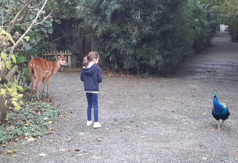 צימר Les Hauts De Hurlevents   Le Buffalo