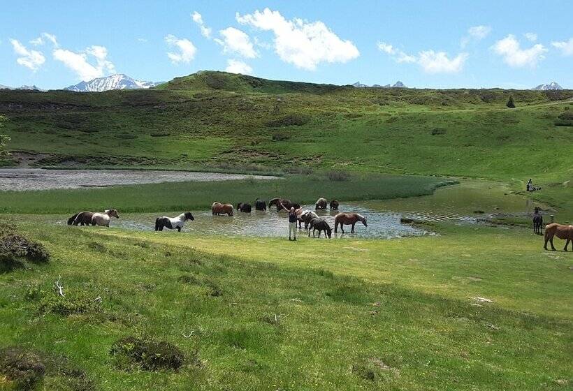 צימר Les Hauts De Hurlevents   Le Buffalo