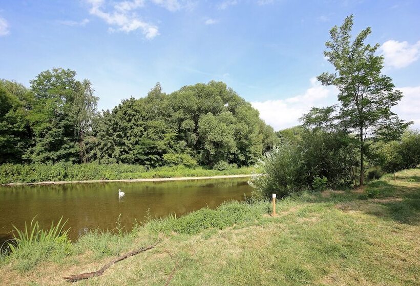 בית מלון כפרי Camping De L Ill Colmar