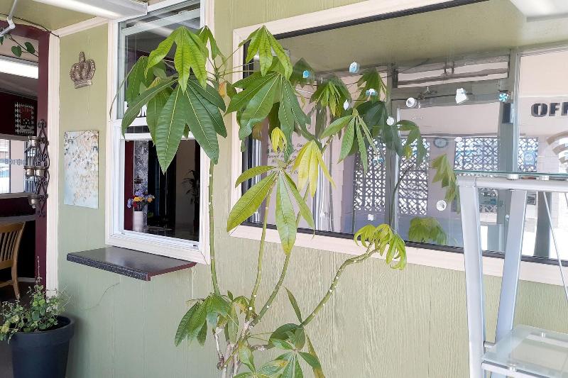 فندق Kings At Clovis