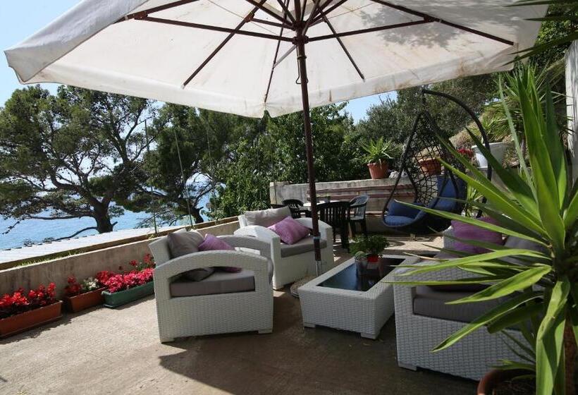 Panzió Apartmani Daša Tučepi