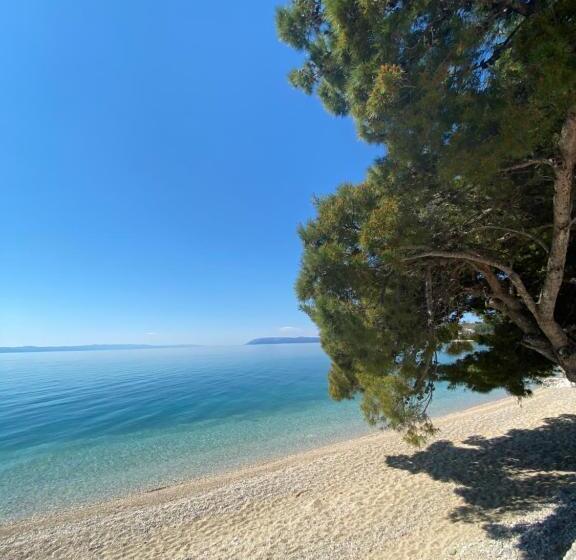 Panzió Apartmani Daša Tučepi