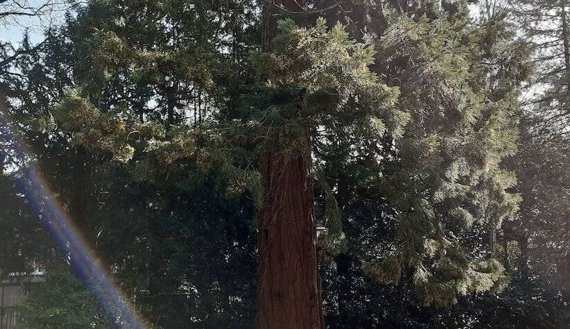 Пансион Garfits Lodge