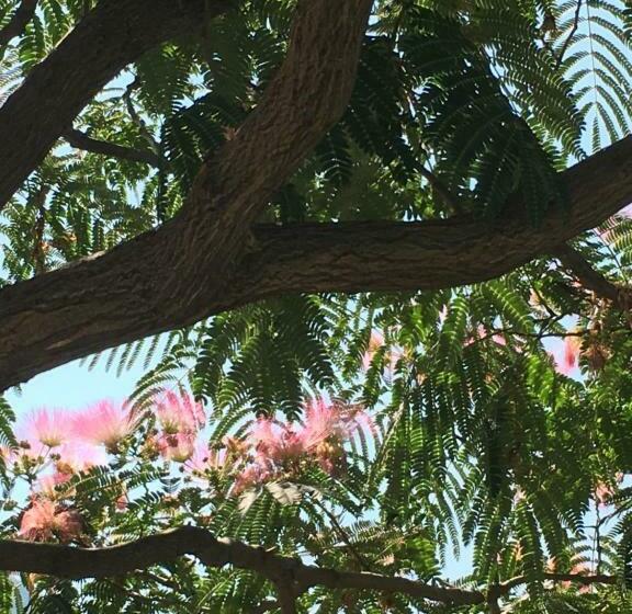 بنسيون La Bastide Des Cades