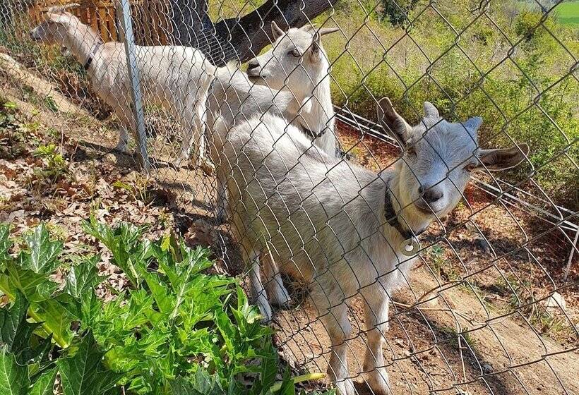 פנסיון Montèze Paradis