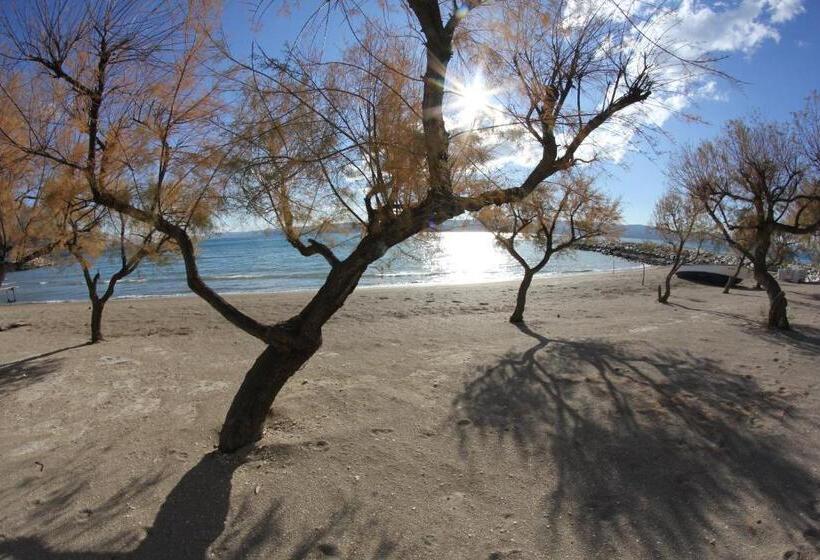 膳宿费 Villa Mandalinic