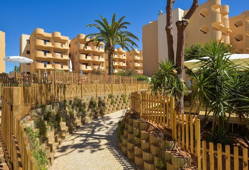 3hb Falesia Beach