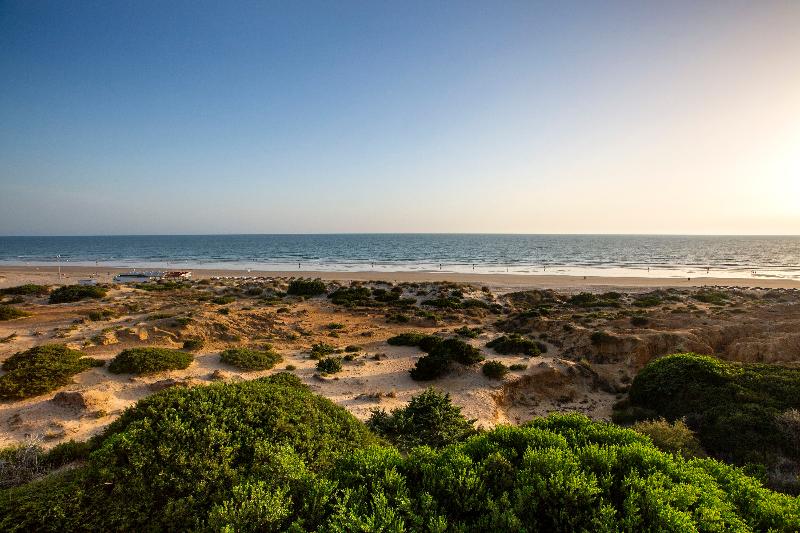 Hipotels Barrosa Palace & Spa