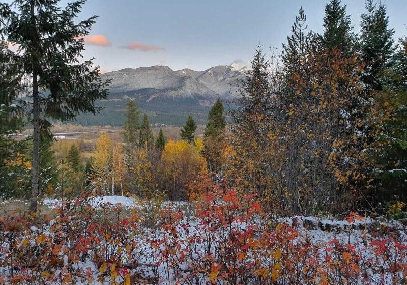 Отель Alpine Meadows Lodge