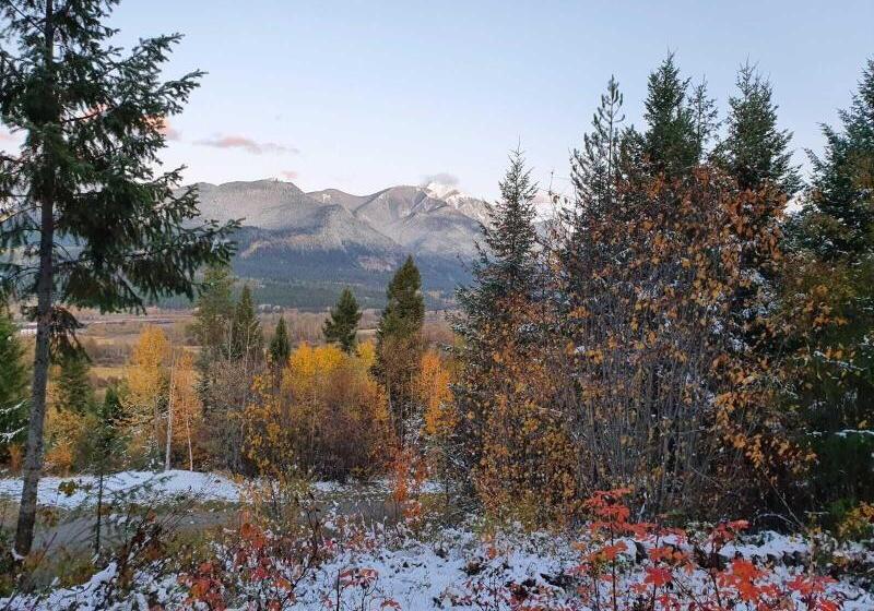 Отель Alpine Meadows Lodge