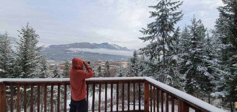 Отель Alpine Meadows Lodge