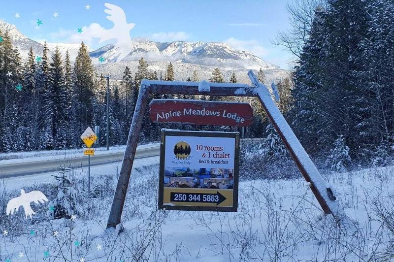 Отель Alpine Meadows Lodge
