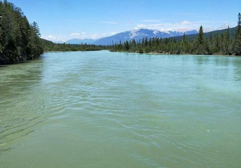 Отель Alpine Meadows Lodge