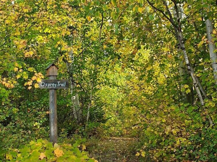 Отель Alpine Meadows Lodge