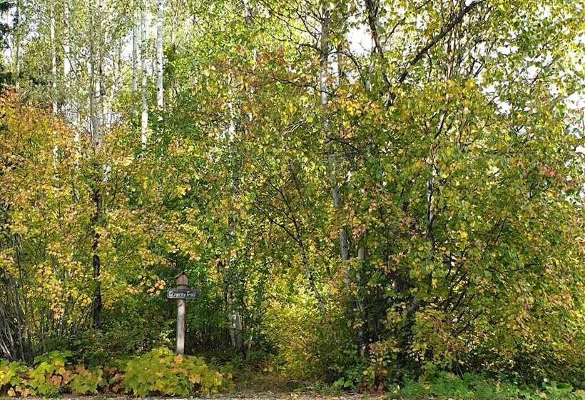 Отель Alpine Meadows Lodge