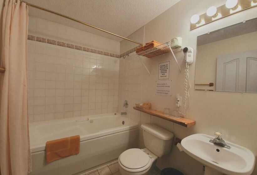 Отель Alpine Meadows Lodge