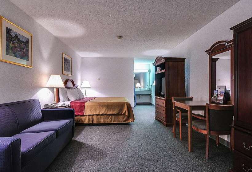 Отель Americas Best Value Inn Midlothian