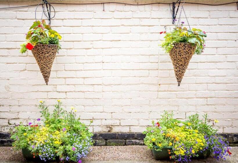 酒店 Arden Park Ensuite Rooms