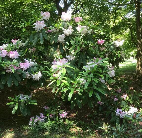 호텔 Beryl Country House