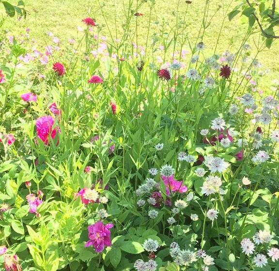 ホテル Beryl Country House