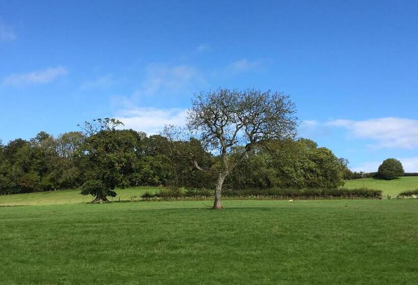 호텔 Beryl Country House