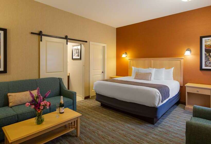 酒店 Best Western Acadia Park Inn