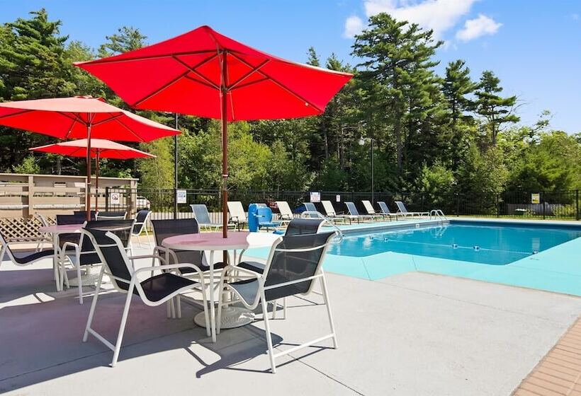 Отель Best Western Acadia Park Inn