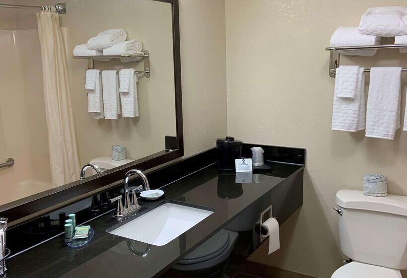 فندق Best Western Airport Inn & Suites Cleveland