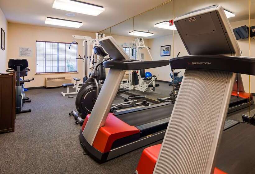 Отель Best Western Plus Airport Inn & Suites