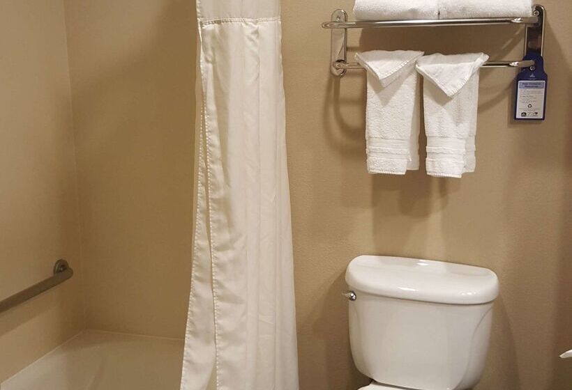 Отель Best Western Plus Airport Inn & Suites