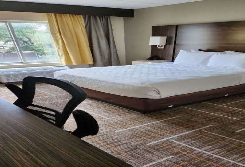 ホテル Sonesta Essential Orlando