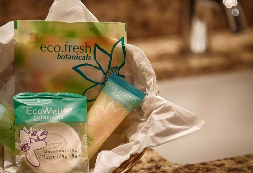 ホテル Sonesta Essential Orlando