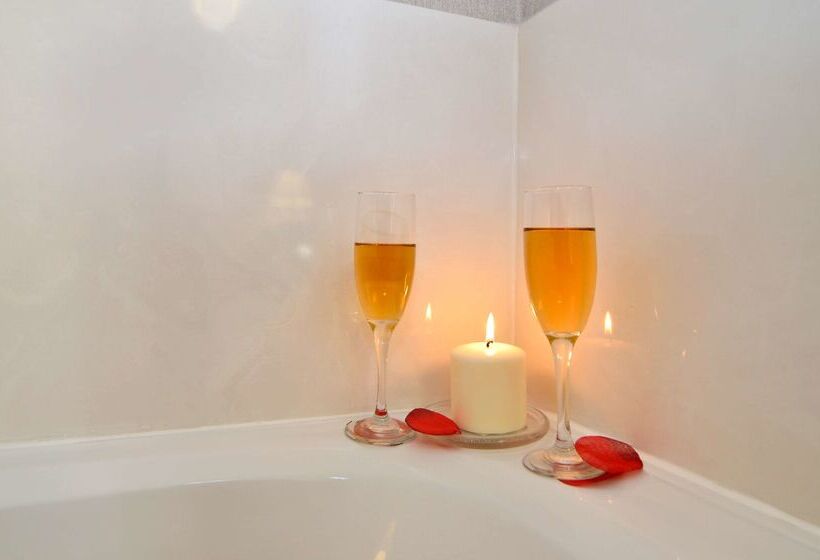 酒店 Best Western Borger Inn