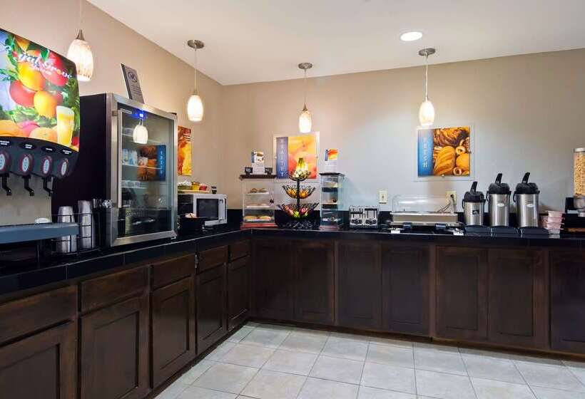 酒店 Best Western Borger Inn