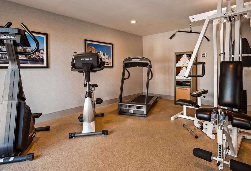 فندق Best Western Cedar Inn & Suites