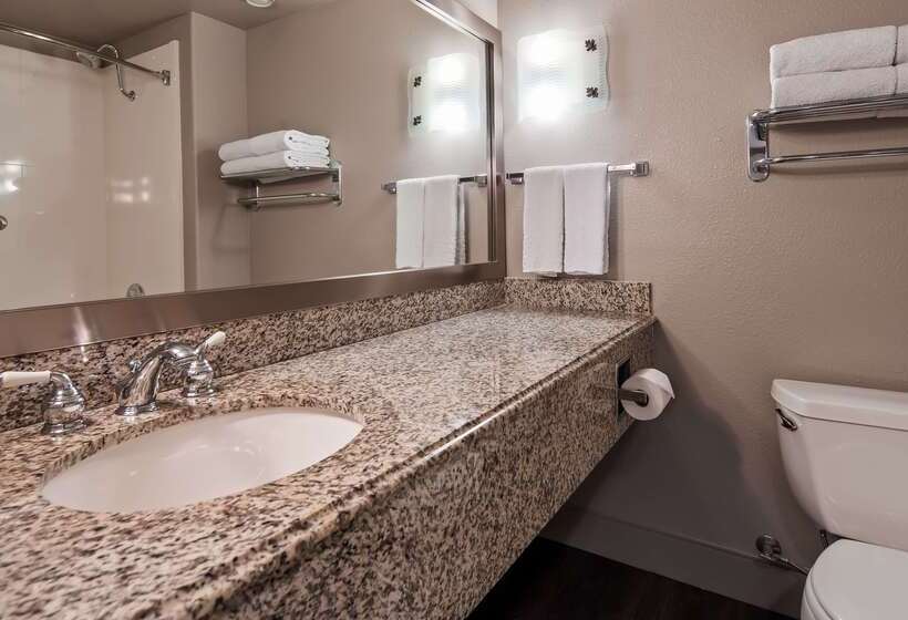 فندق Best Western Cedar Inn & Suites