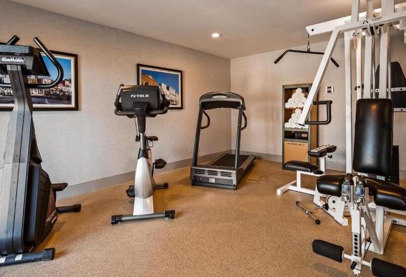 فندق Best Western Cedar Inn & Suites