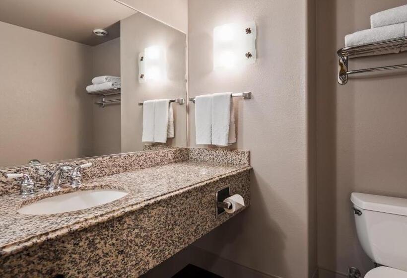 فندق Best Western Cedar Inn & Suites