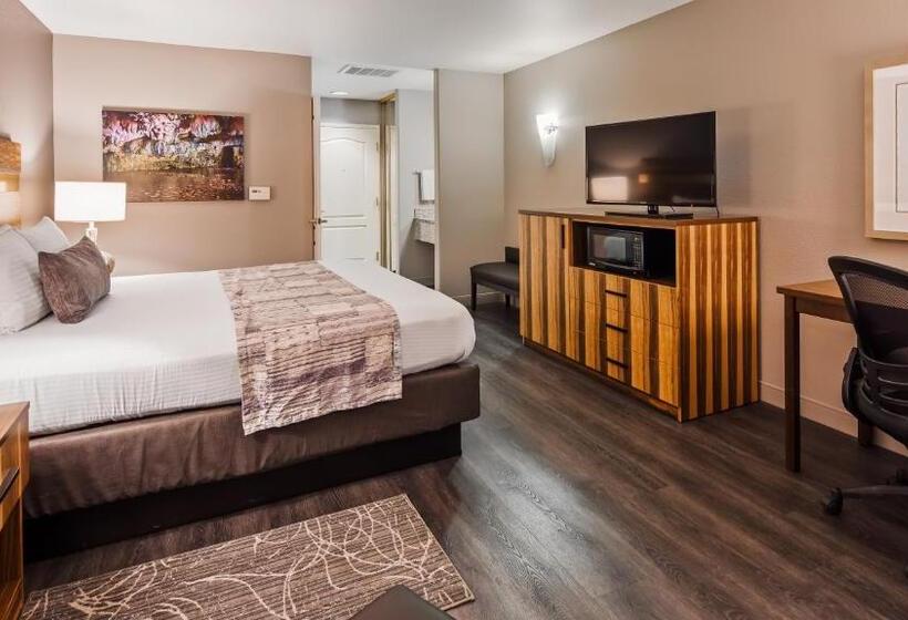 فندق Best Western Cedar Inn & Suites