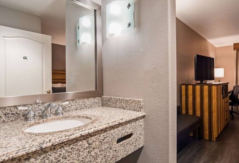 فندق Best Western Cedar Inn & Suites