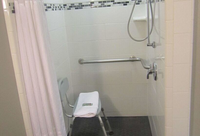 فندق Best Western Cedar Inn & Suites