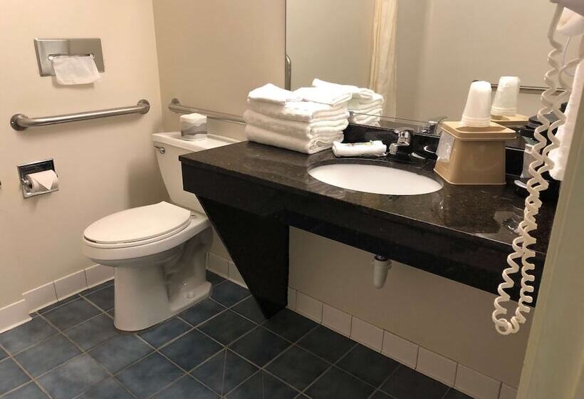 酒店 Best Western Clearlake Plaza