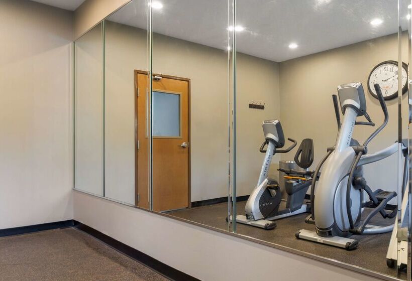 בית מלון כפרי Best Western Des Plaines Inn