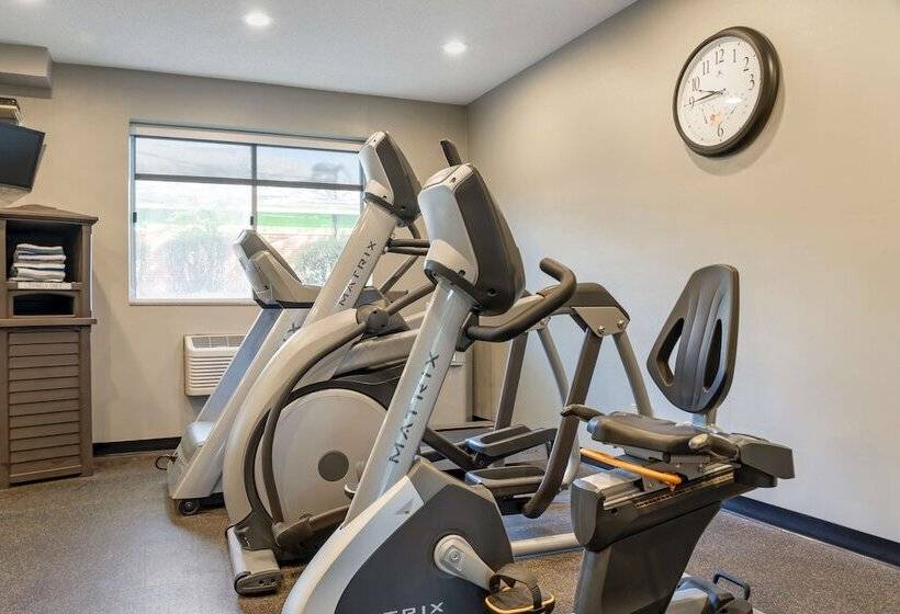 هتل Best Western Des Plaines Inn