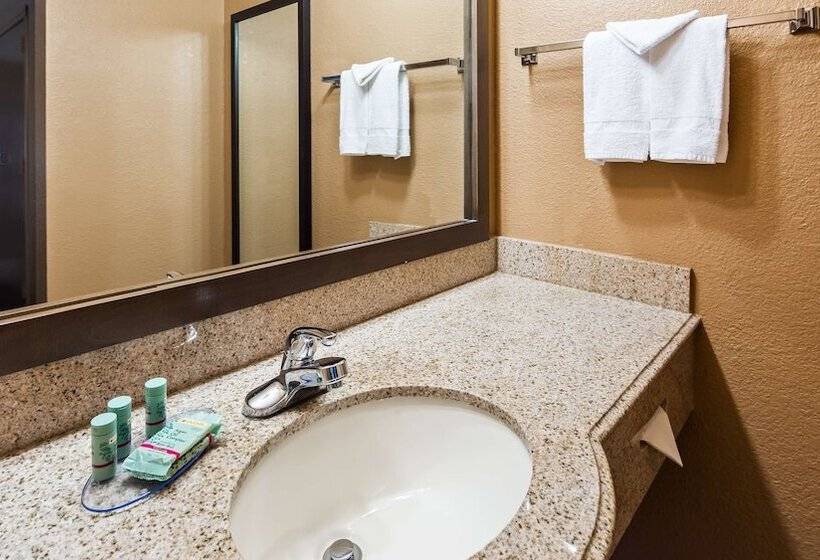 בית מלון כפרי Best Western Executive Inn El Campo