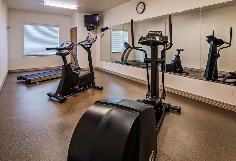 酒店 Best Western Fort Worth Inn And Suites